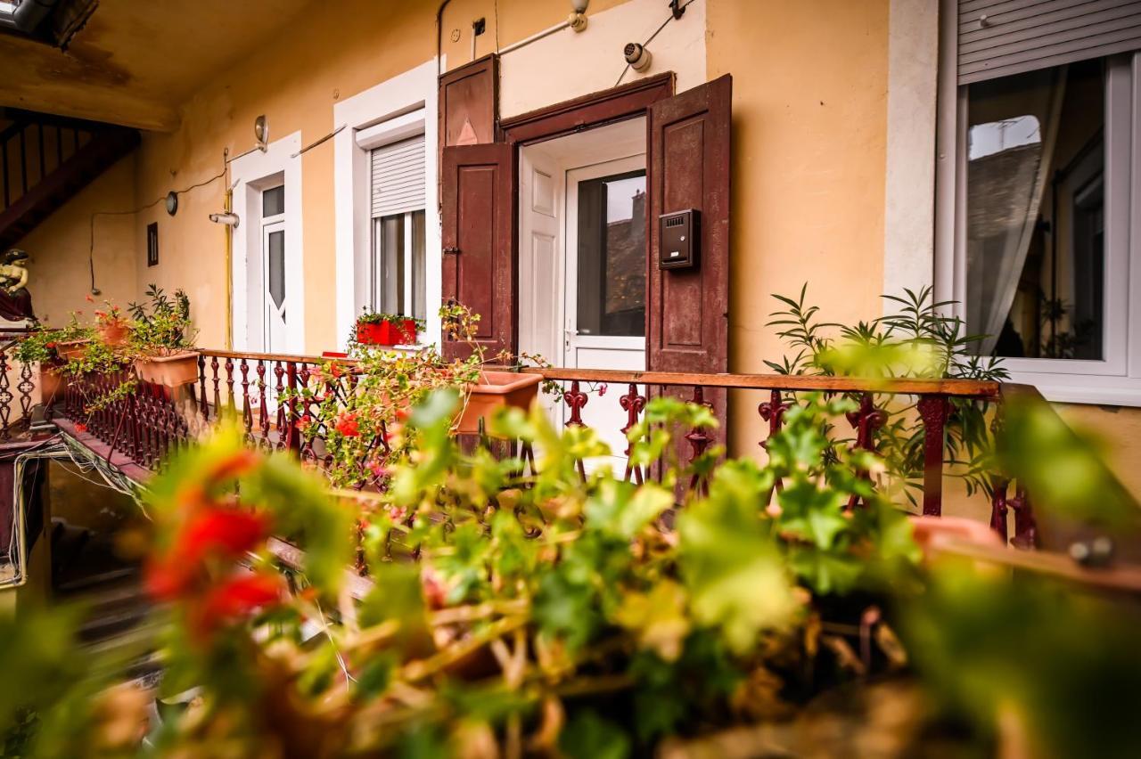 Jules' Sunny, Spacious And Central Apartment Sibiu Dış mekan fotoğraf